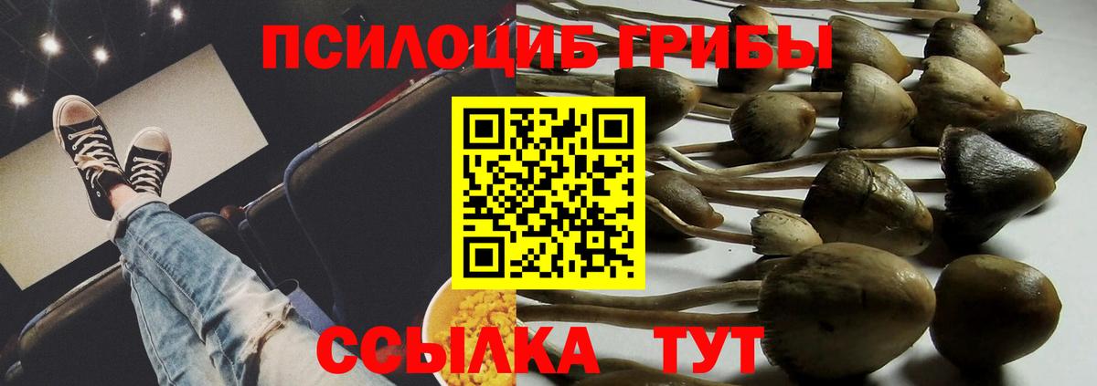 Новокуйбышевск  Псилоцибиновые грибы GOLDEN TEACHER  Псилоцибиновые грибы мухоморы  Вход с VPN 